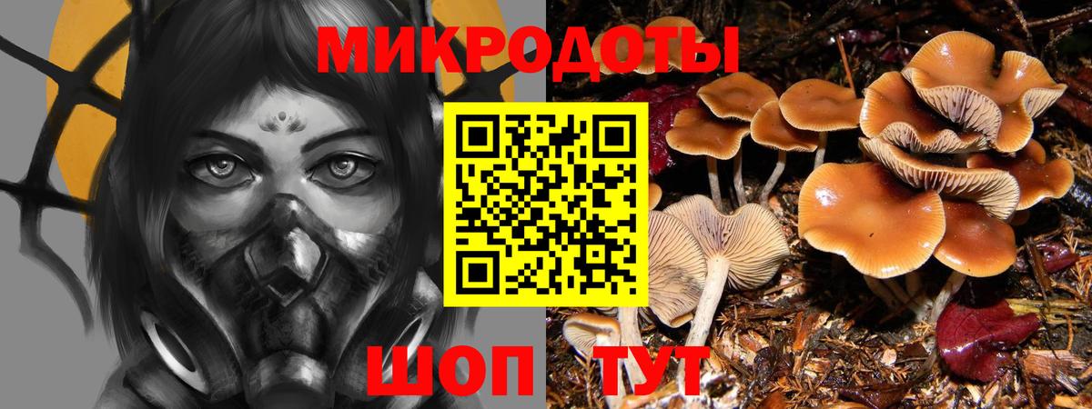 Галлюциногенные грибы MAGIC MUSHROOMS  Псилоцибиновые грибы MAGIC MUSHROOMS  Вход с VPN  Минусинск 