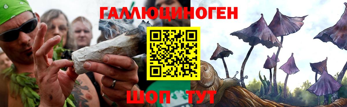 Псилоцибиновые грибы Magic Shrooms Минусинск